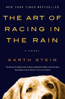 The Art of Racing in the Rain book
