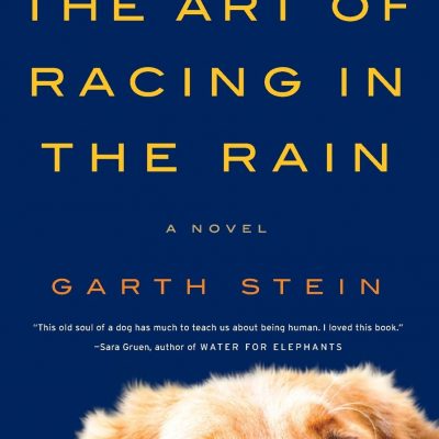 The Art of Racing in the Rain book