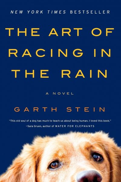 The Art of Racing in the Rain book