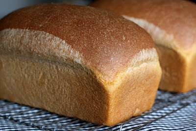 easy wheat bread recipe