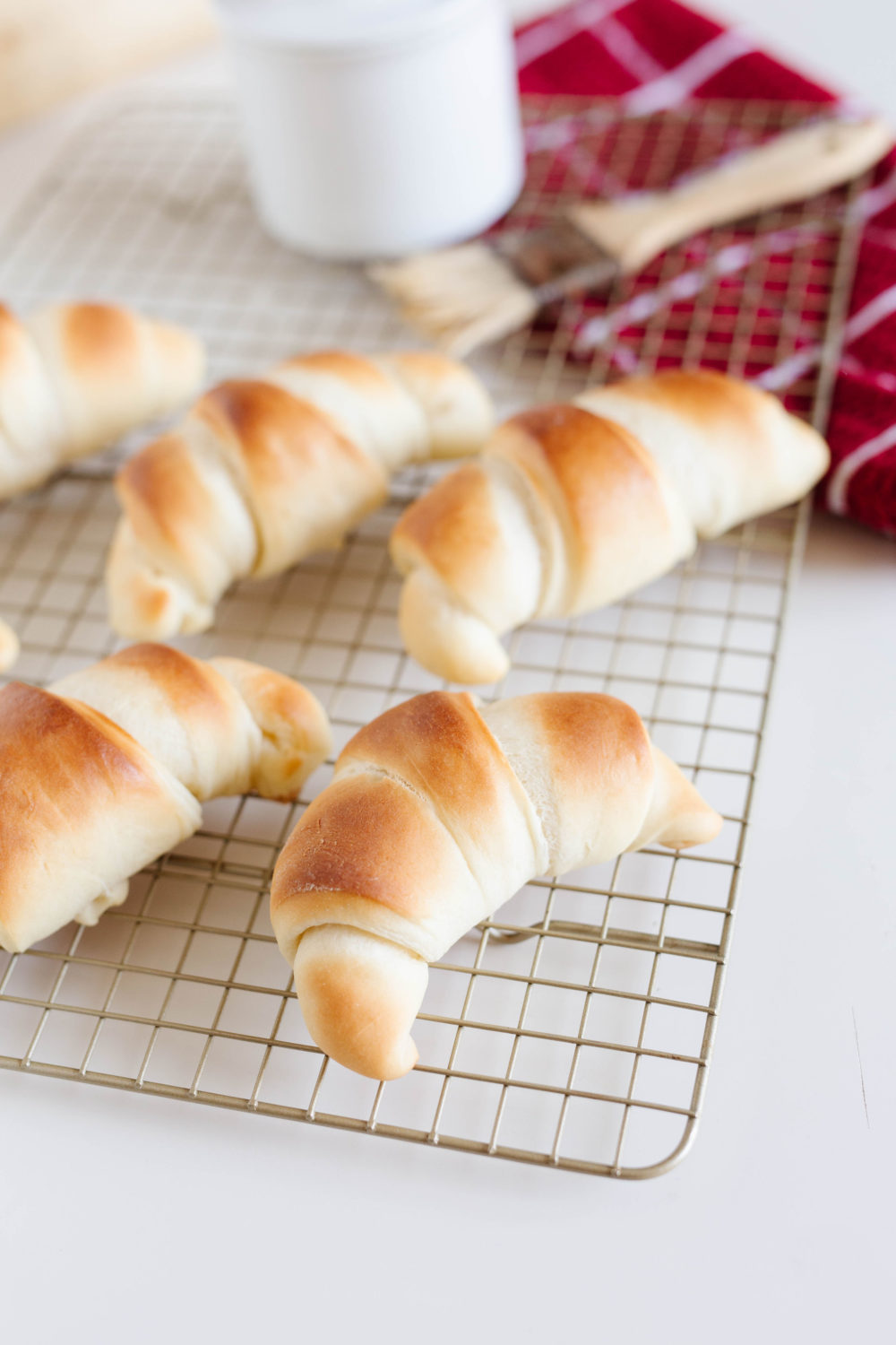 world's best dinner rolls