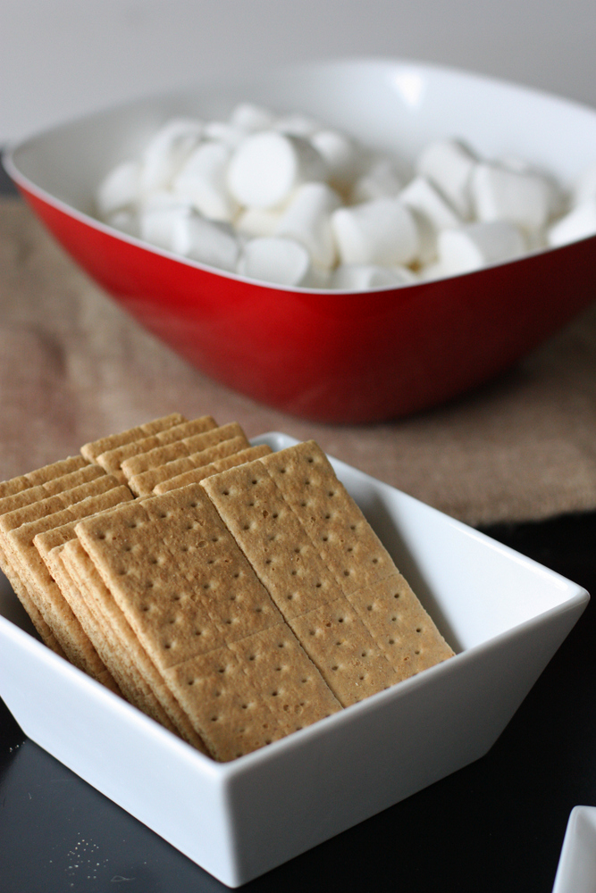 s'mores party