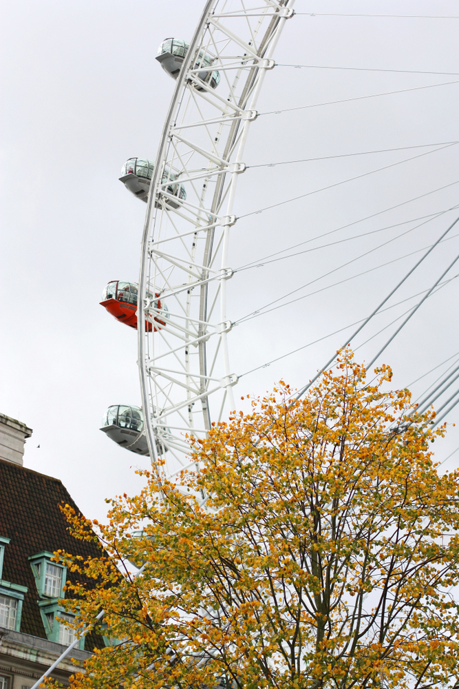 the london eye