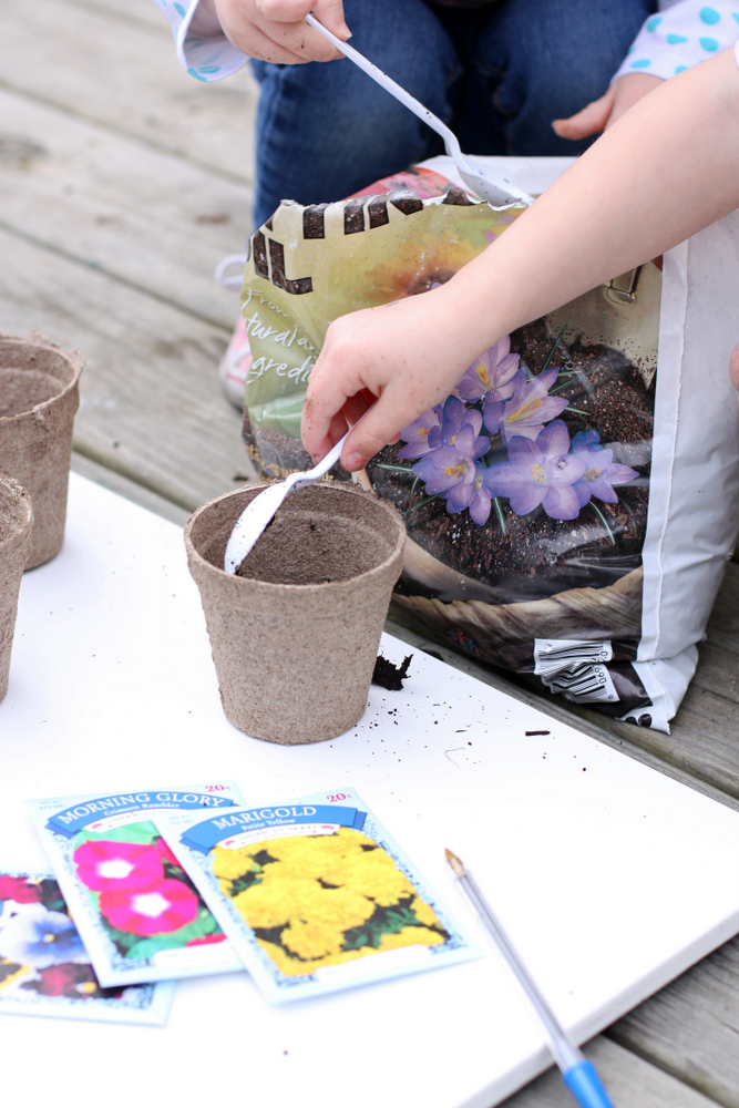 A fun candy-free Valentine that's fun for months as it grows! #DIY #ValentinesDay #Gardening