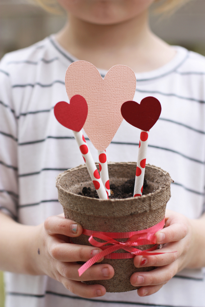 A fun candy-free Valentine that's fun for months as it grows! #DIY #ValentinesDay #Gardening