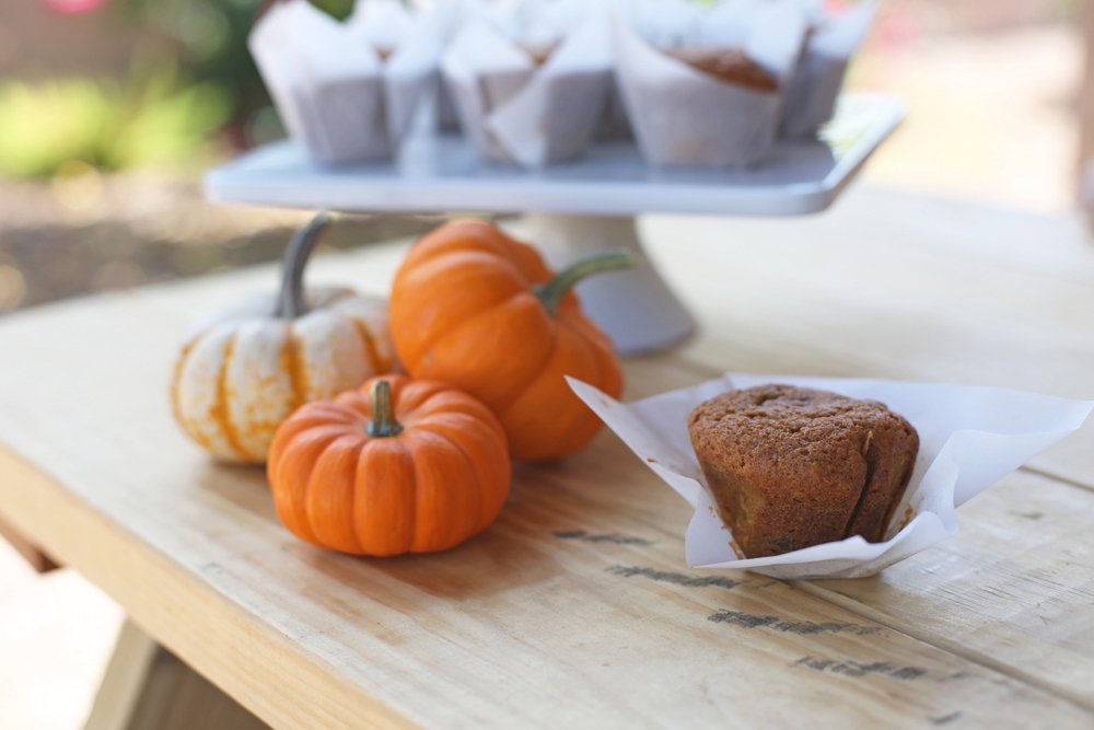 how to make pumpkin chocolate chip muffins