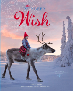 the reindeer wish book