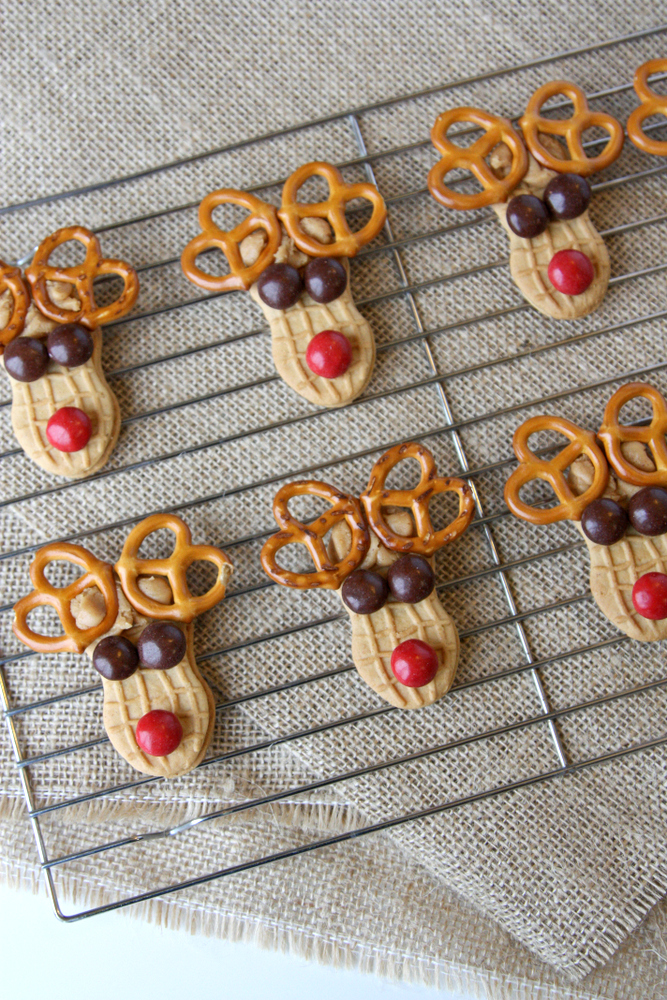 A Giant Cookie Recipe - Everyday Reading