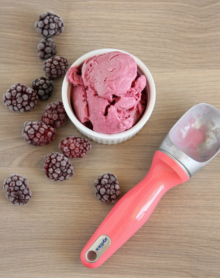 Zyliss Ice Cream Scoop