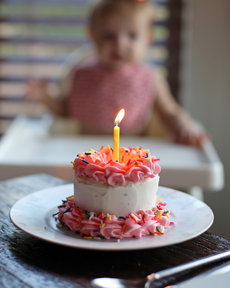 Ward | Girl Cake Smash Cache Valley Utah Photographer - Stacey Hansen  Photography | Utah Newborn Photographer