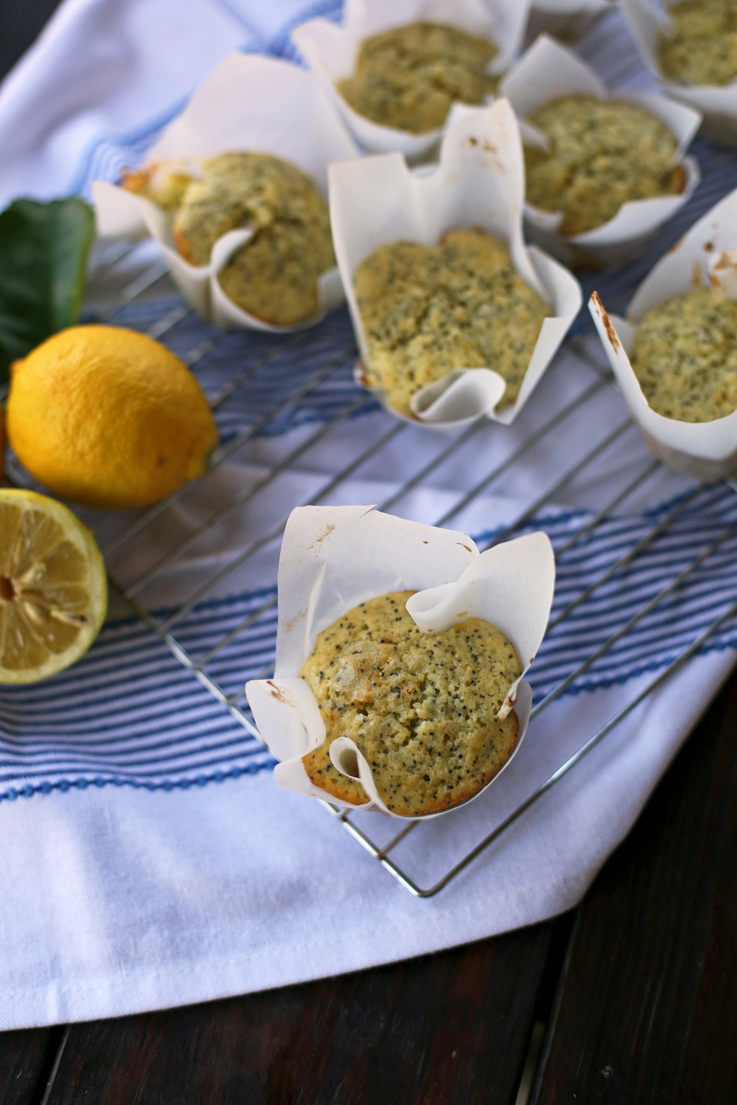 DIY Parchment Paper Muffin Wrappers - Everyday Reading