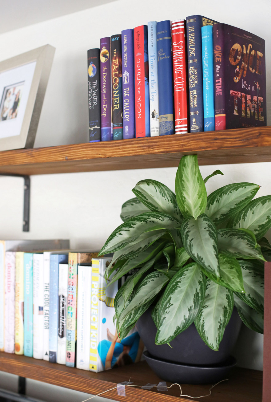 living room shelves