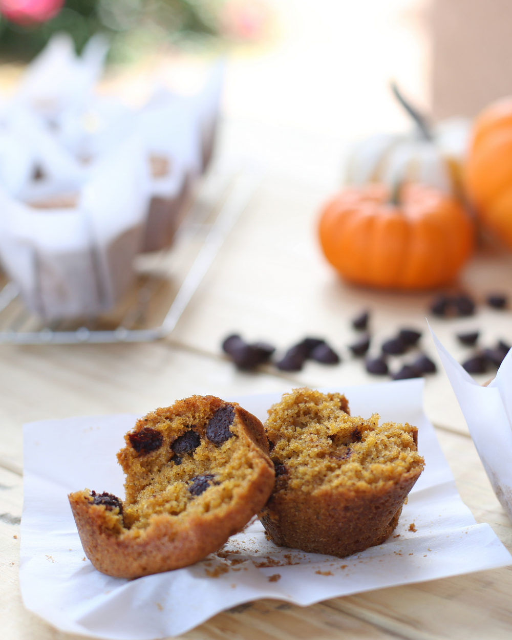 The BEST pumpkin chocolate chip muffins