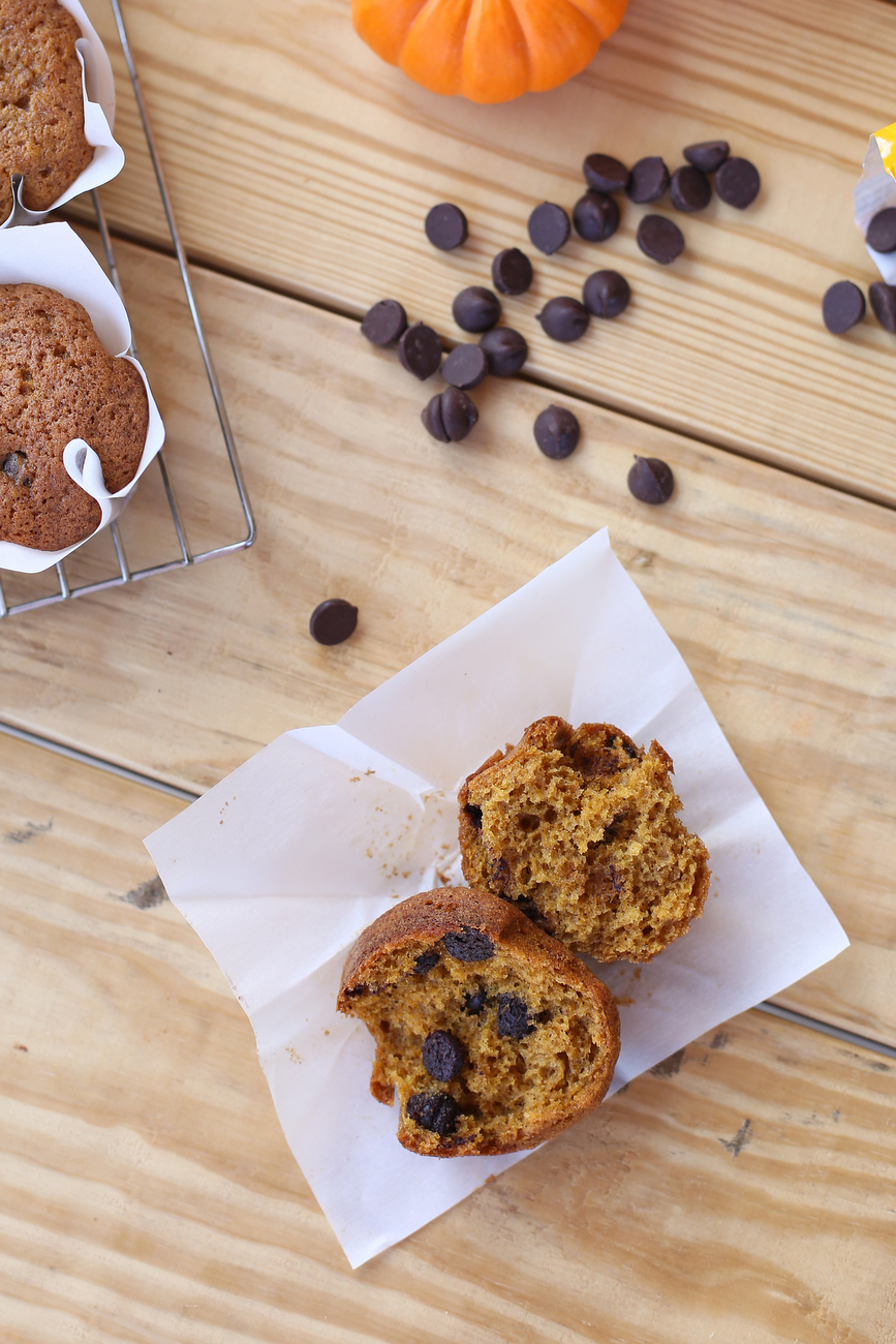 pumpkin chocolate chip muffins