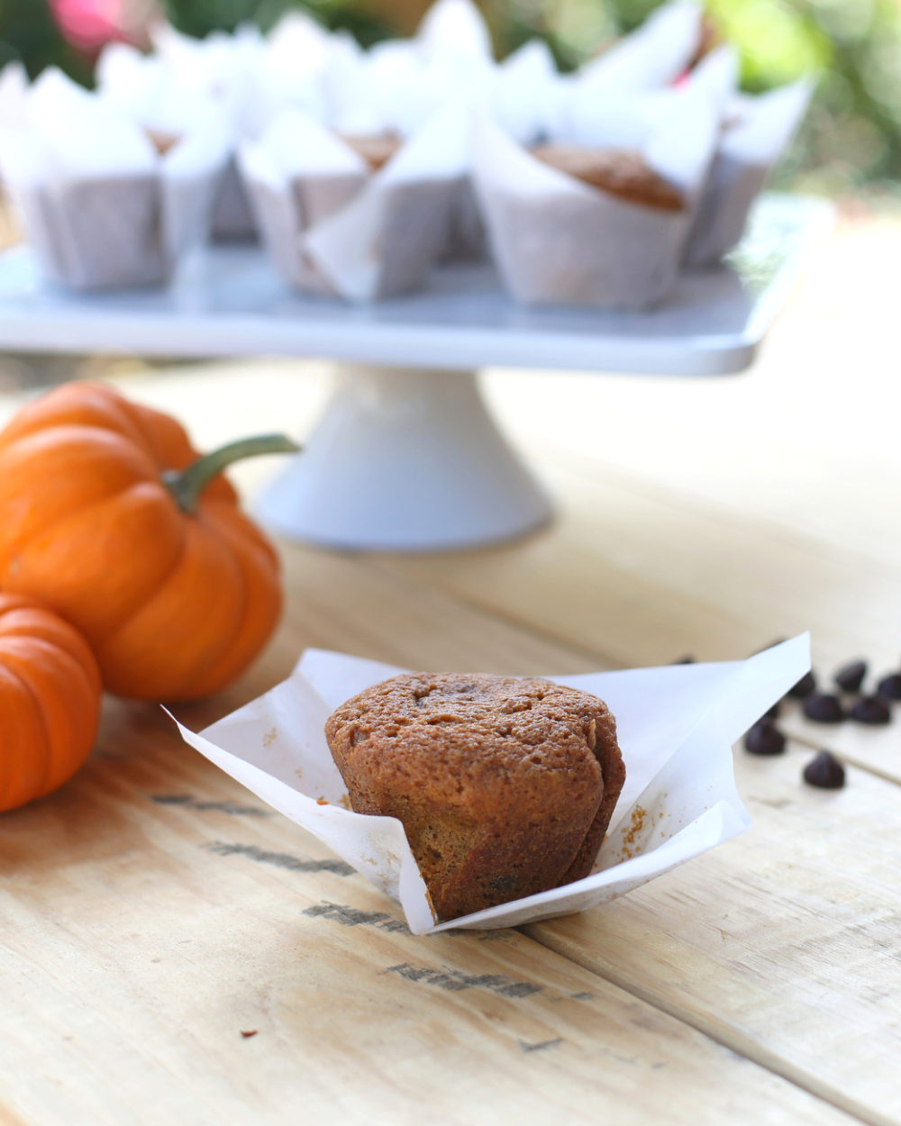 pumpkin chocolate chip muffins