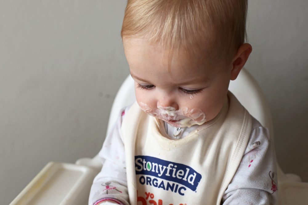 Stonyfield yobaby yogurt