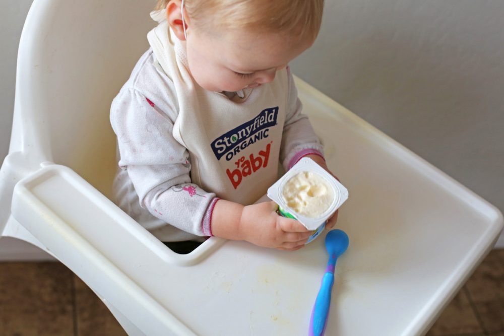 Stonyfield organic yobaby yogurt