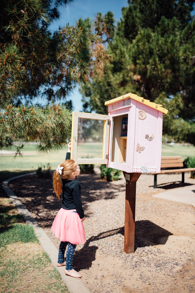 little free libraries