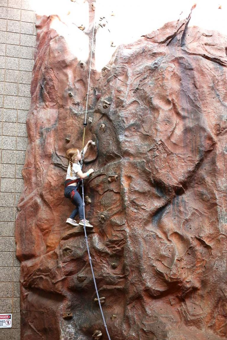 Things to Do in Phoenix Food, Fun, and Free Outings Everyday Reading