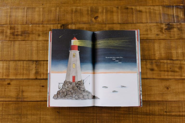 The 2019 Mock Caldecott Books (+ Printable Score Sheet)