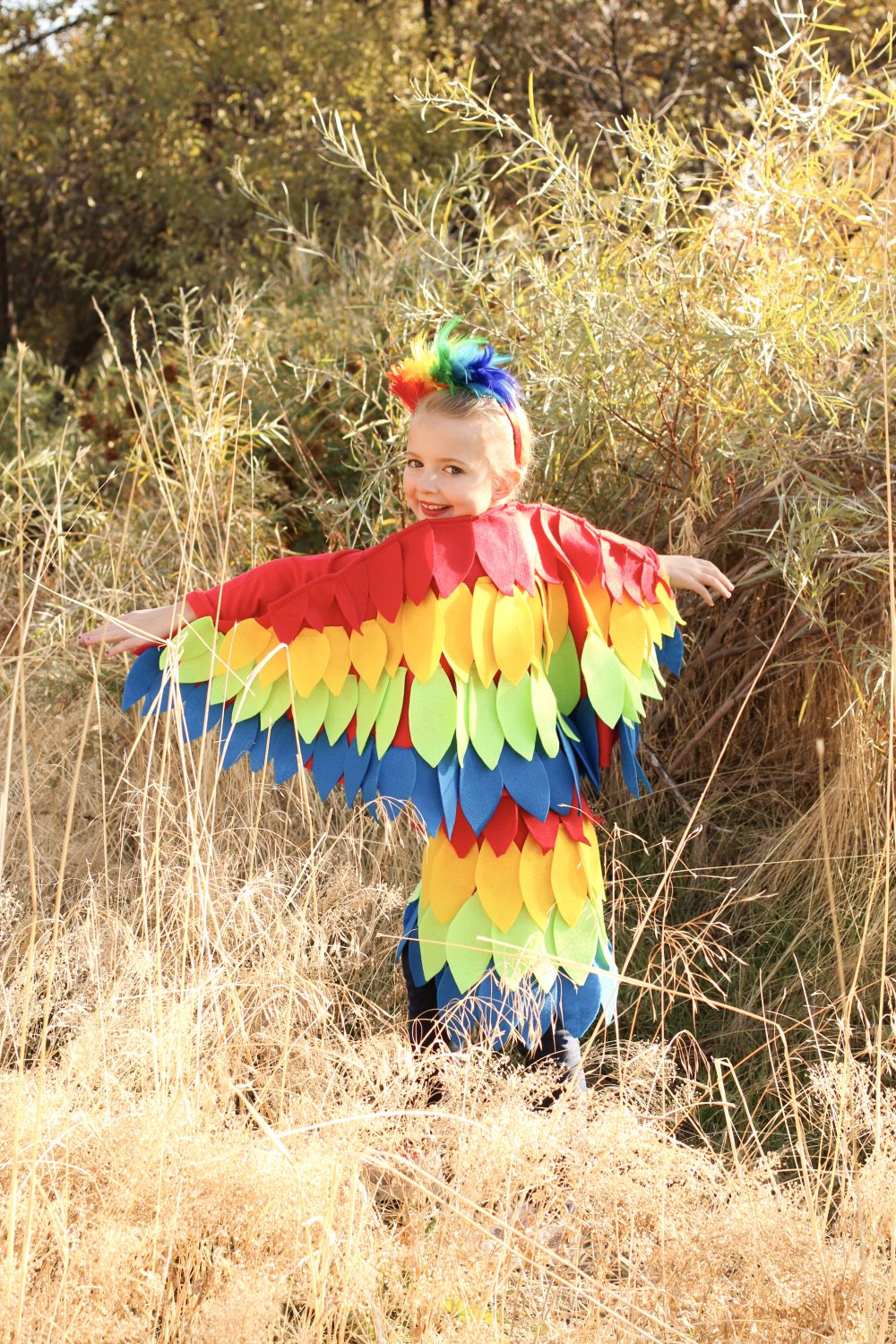 parrot costume