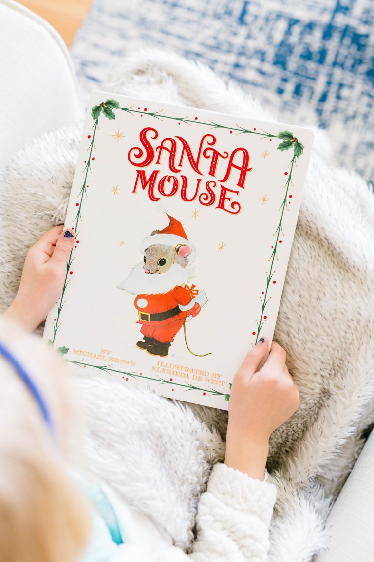 20+ Wonderful Picture Books about Santa Claus