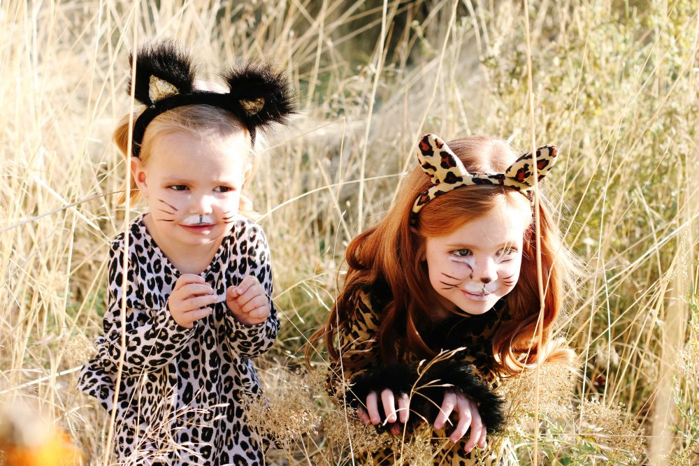 cheetah costume