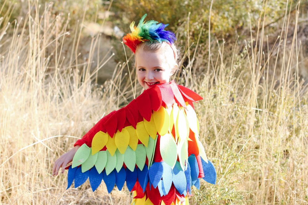 parrot costume