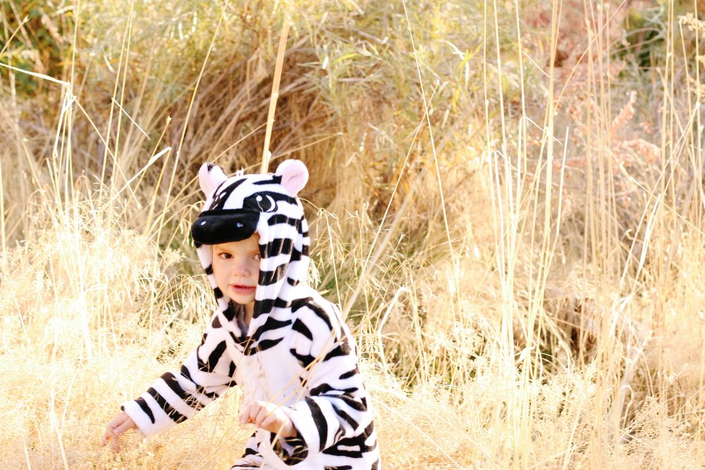 zebra costume