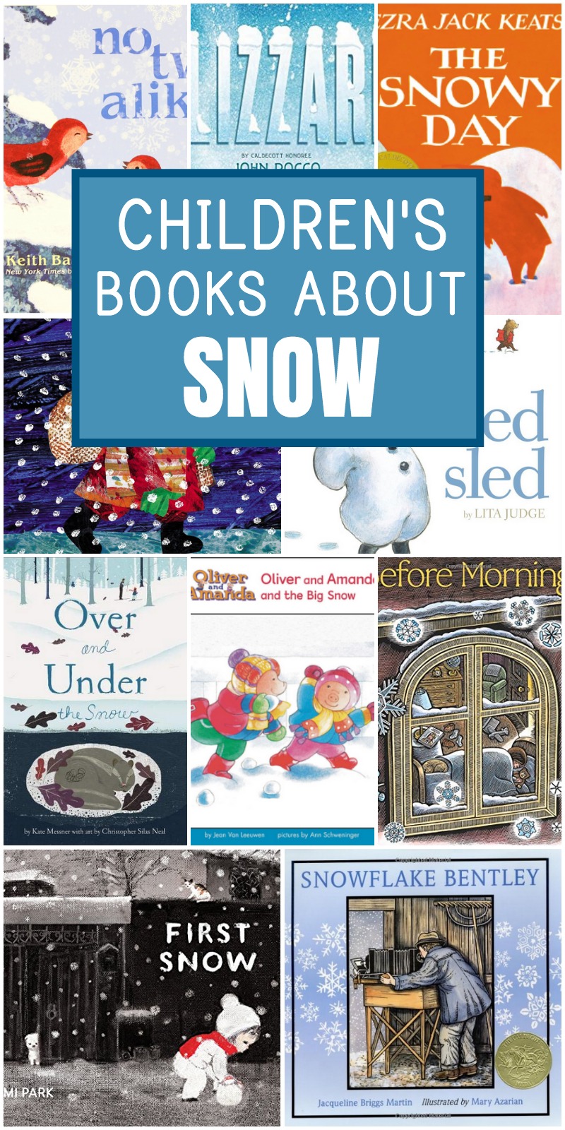 childrens books about snow