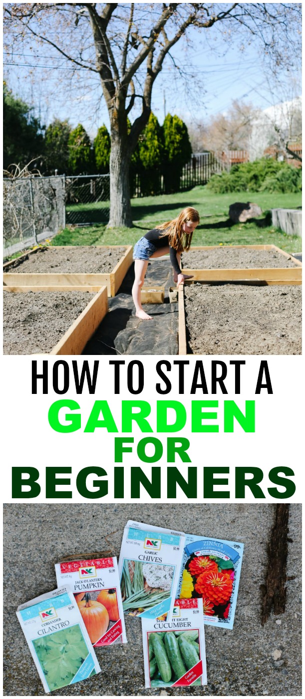how to start a garden