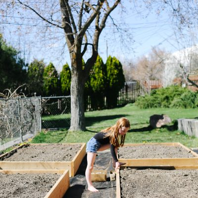 how to start a garden