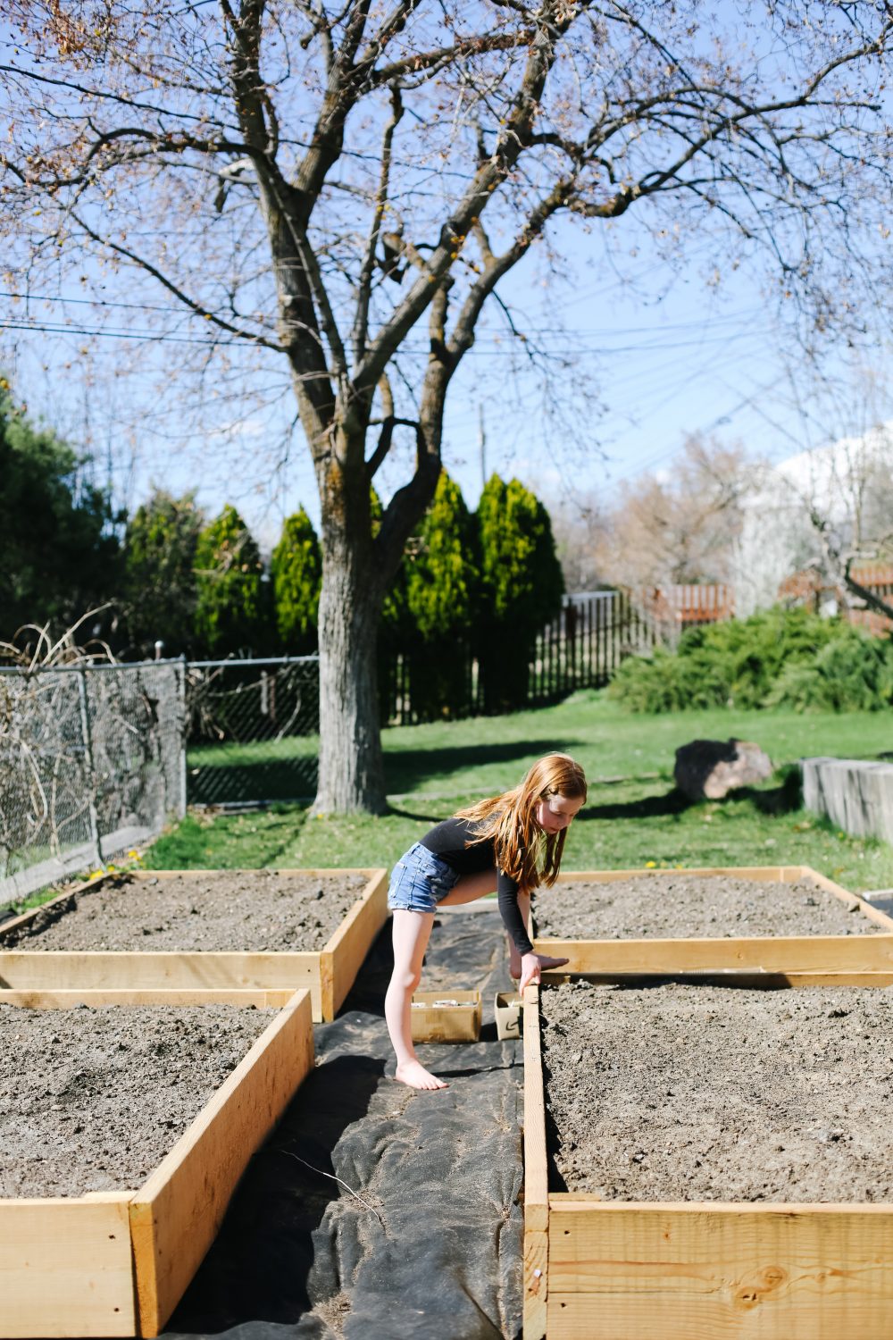 how to start a garden