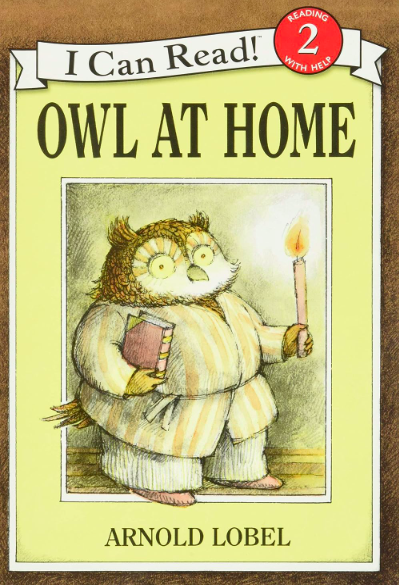 owl at home book