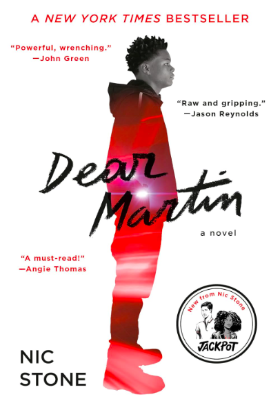 dear martin book