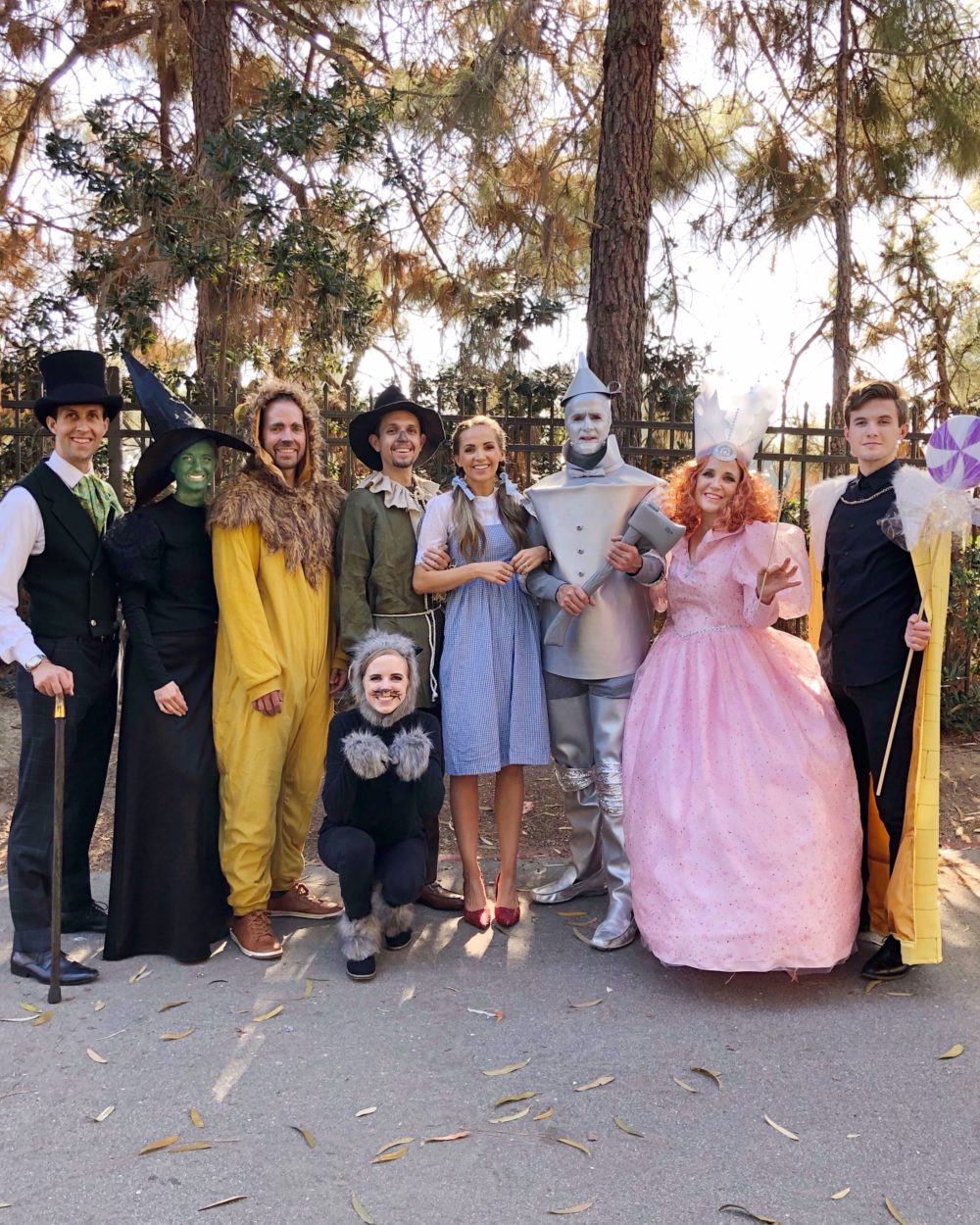 Harry Potter Characters Family Halloween Costume