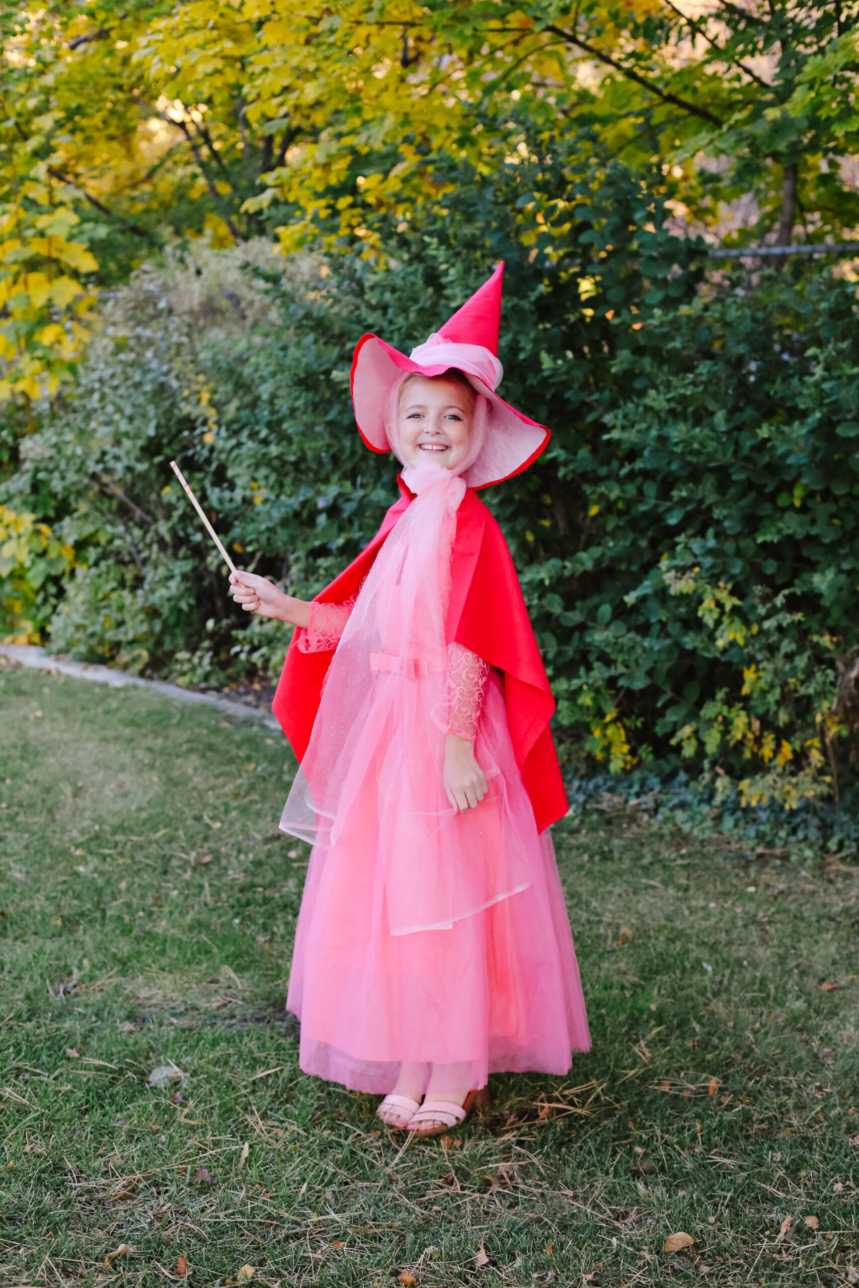 sleeping beauty fairies costume