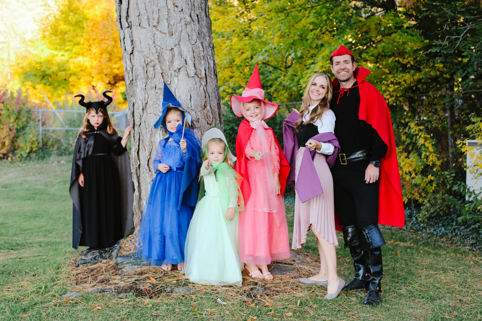 sleeping beauty costumes