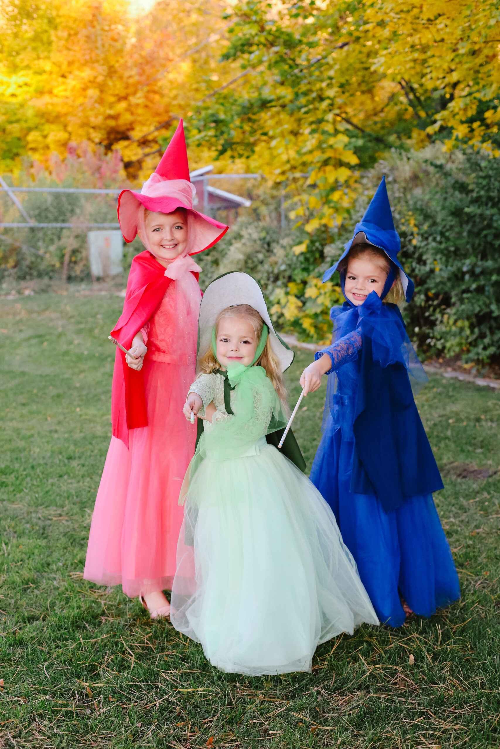 diy sleeping beauty costume