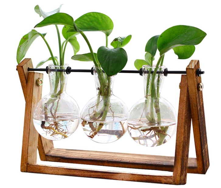 terrarium