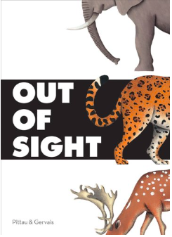 out of sight book