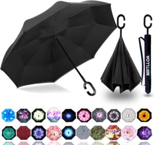 https://everyday-reading.com/wp-content/uploads/2022/12/windproof-umbrella-300x283.jpg