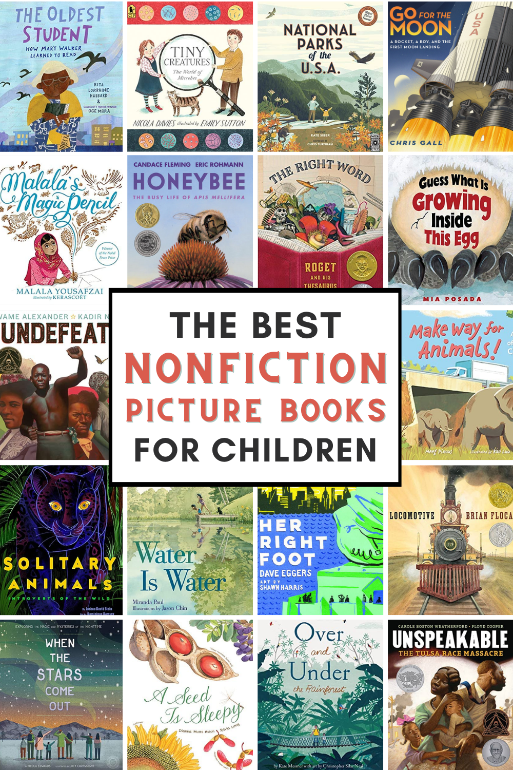 nonfiction picture books