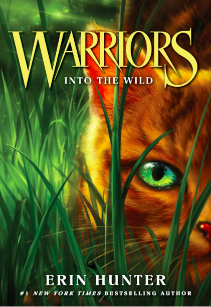 warriors book