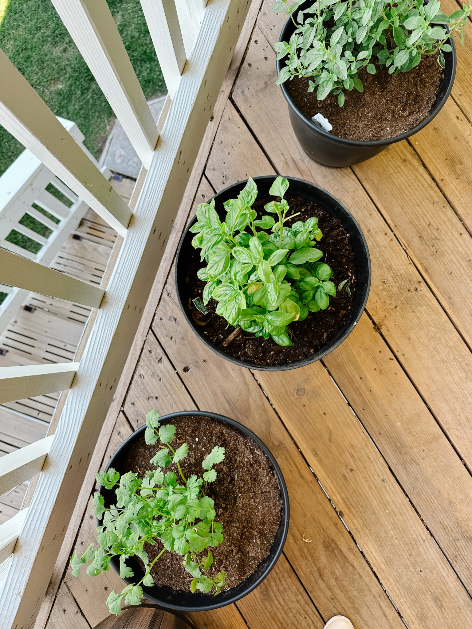 back deck garden