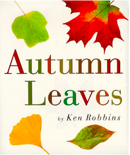 autumn leaves book