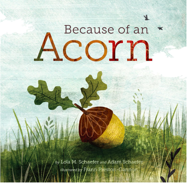 because of an acorn book
