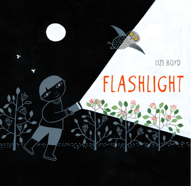 flashlight book