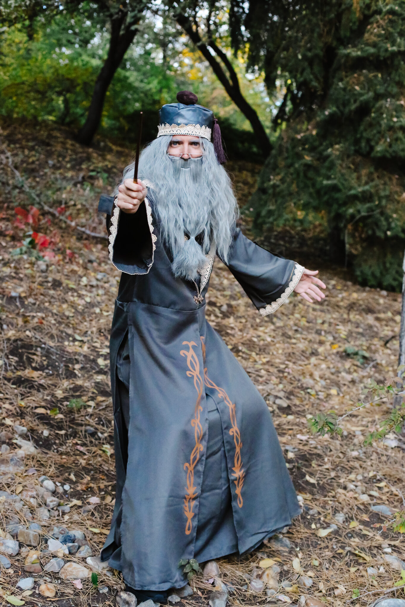 dumbledore costume Everyday Reading