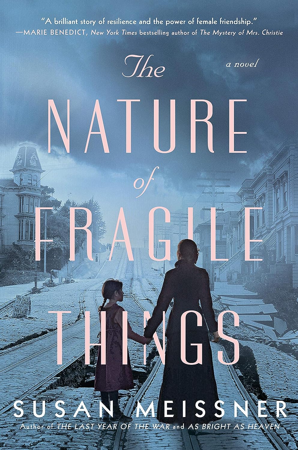 nature of fragile things